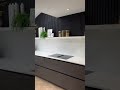 Compact Luxury kitchen