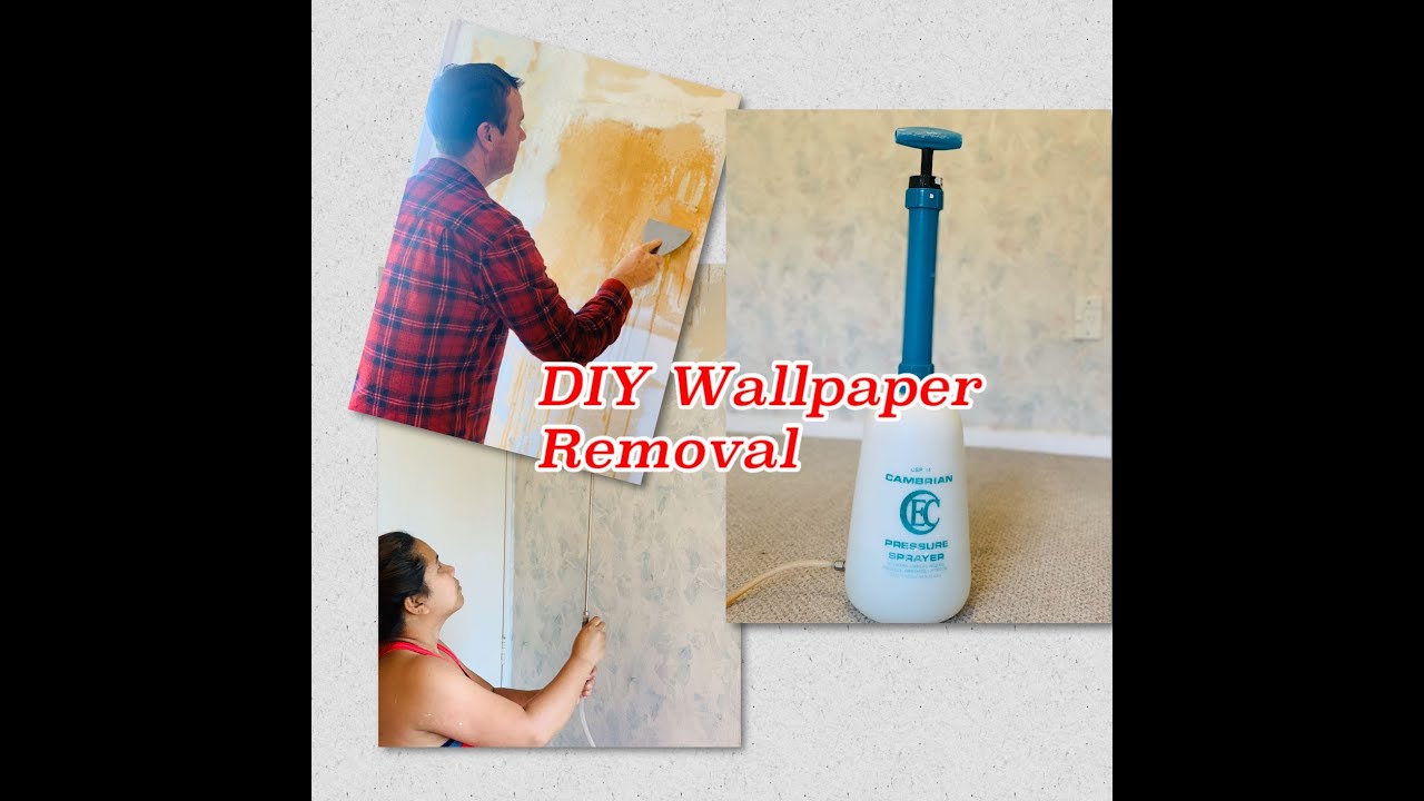 DIY WALLPAPER REMOVAL SPRAYER WITH WARM WATER SCRAPER WITH FILED