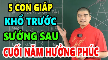 5 Con Giáp Khổ Trước Sướng Sau Năm 2024 Giáp Thìn, Cuối Năm Hưởng Phúc Lộc Trời Ban Giàu Ú Ụ