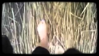 Natural Walking On Naked Feet 2 Km Long In The Forest...