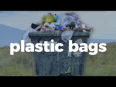 here's-how-plastic-bags-impact-the-environment