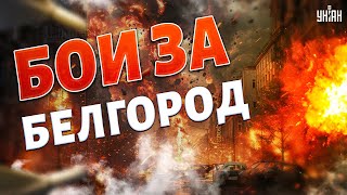 Включение из РФ! Бои за Белгород: город ровняют с землей, потери армии РФ ужасают - Цезарь