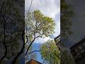Achche Lagte Ho #nature #love #glowup #freefire #song #reels #minivlog