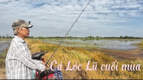 Chuyến câu cá lóc cuối mùa Lũ...Bảy Nguyễn Fishing 