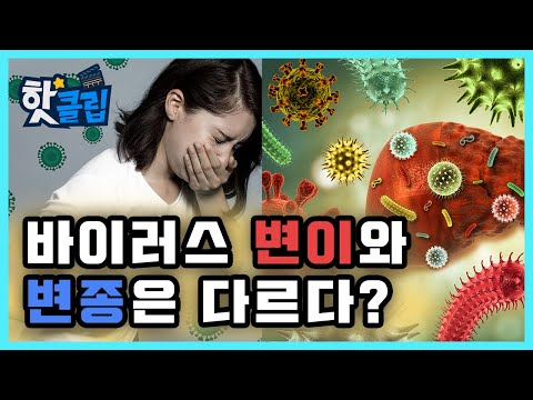 바이러스의 변이와 변종 / YTN 사이언스