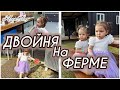 КОРЕЯ ВЛОГ| НА ФЕРМЕ С ЖУКАМИ| ДЕНЬ С ДВОЙНЯШКАМИ