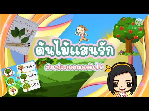 หน่วยต้นไม้แสนรัก: ส่วนประกอบของต้นไม้ ช่วงอายุต่ำกว่า 3 ปี #onhand  #online  #covid19