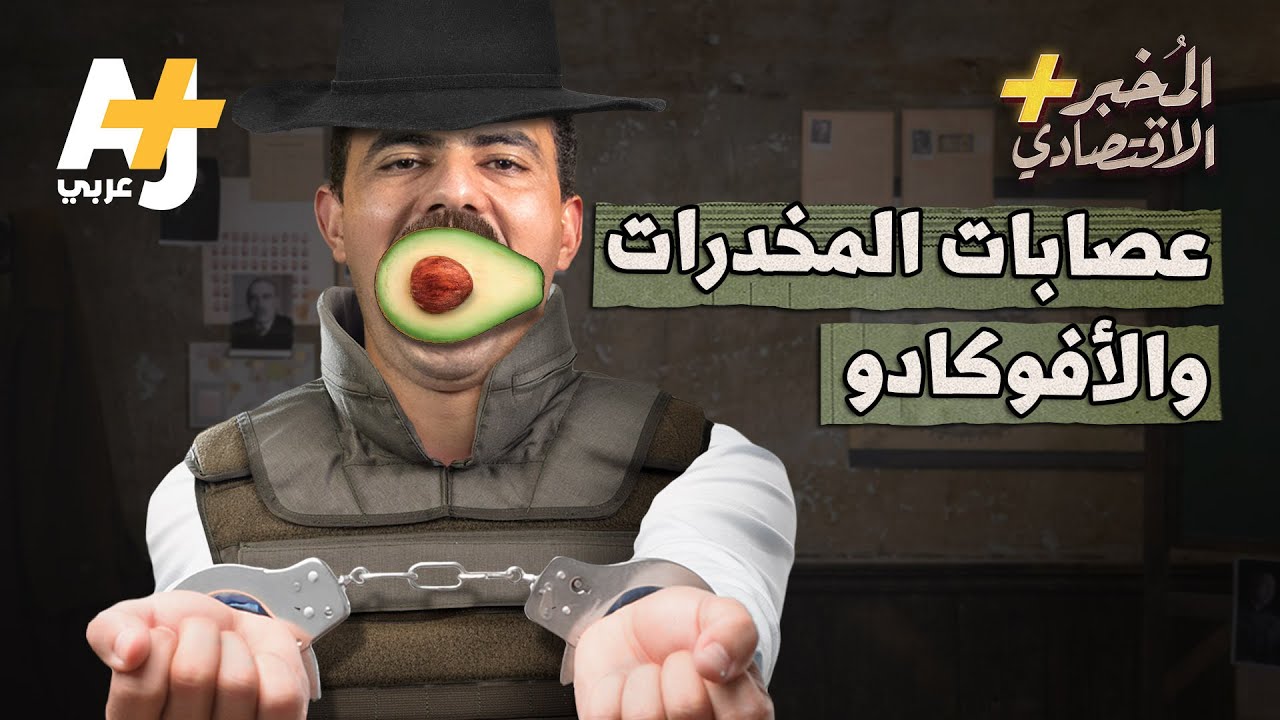 المُخبر الاقتصادي+ | لماذا تتصارع عصابات المخدرات المكسيكية على الأفوكادو؟