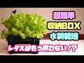 レタスはもう買わない！？葉物野菜全般OKな収納ボックス水耕栽培