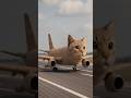 Flying Cat Plane 🐱✈️ Funniest Cat Video Ever|#catshorts#cute#viral