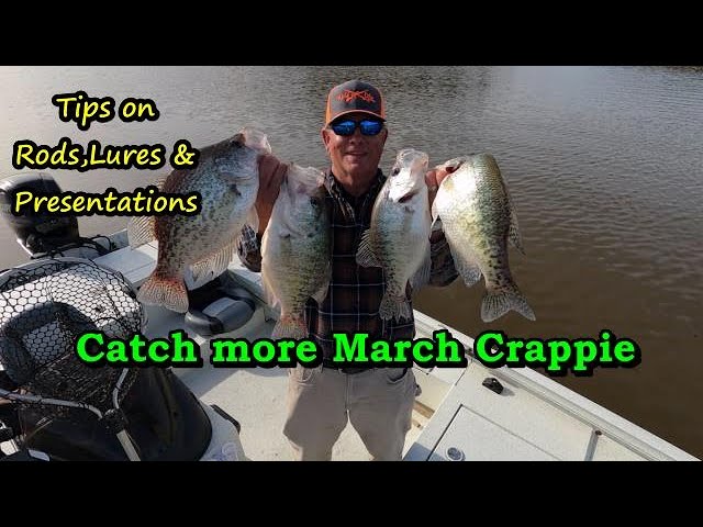 Easy way to catch crappie/How to catch crappie in March tips,lures and  locations/Kerr Lake crappie 