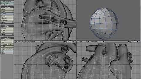 Lightwave 3D | Modeling a Human Heart - p1