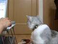 ぼくをもっと撫でたまえ
