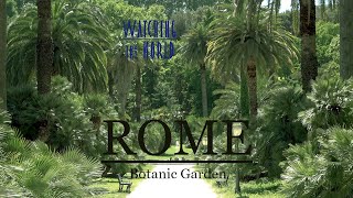 ROME | Amazing Botanic Garden 4K UHD