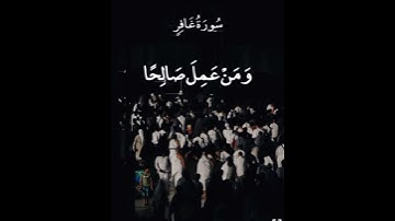 #سورة_غافر  #عبدالباسط_عبدالصمد #قرآن_كريم