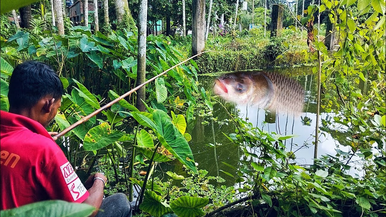 Best Fishing Video | Рыбалка Видео