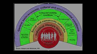 Multiple Determinants of Health - H Gullett 2016