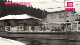 [IDS blog] 20100414 函館はまだ雪が降ります。