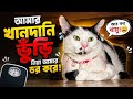 আমার খানদানি ভুঁড়ি নিয়া আমার ডর করে 😂|Cat Funny Video 📸✨ #cat #petlover 