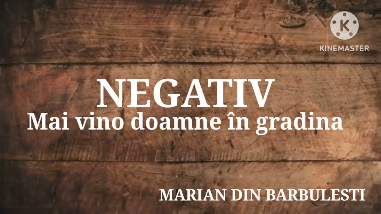 NEGATIV - Mai vino doamne in grădină - Marian din Barbulesti 