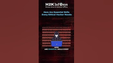 💻 Hackers vallen dagelijks duizenden systemen aan…