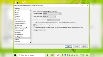 How to use instant translate NVDA addon in offline mode