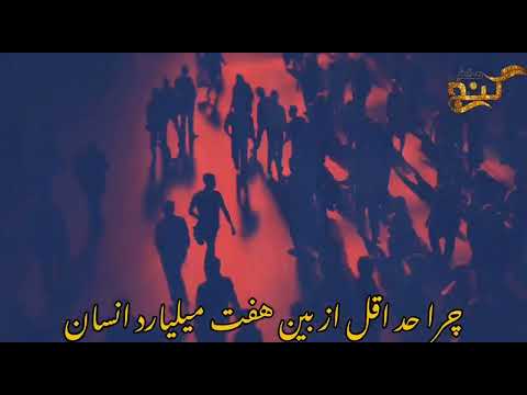 آیا خلقت انسان تصادفی است پاسخ با استاد نصیر احمد اکسیر 