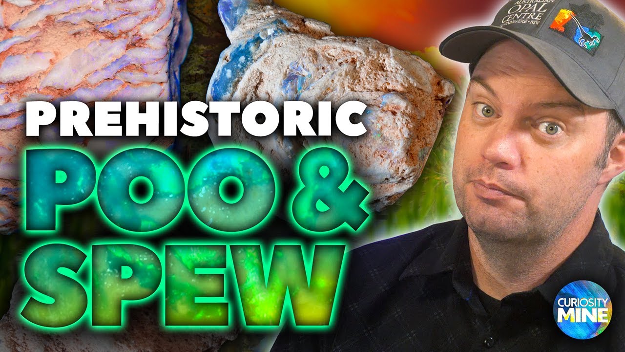 Coprolites and Gastric Pellets - Prehistoric Poo & Vomit @ Lightning Ridge