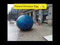 A REAL DINOSAUR EGG 