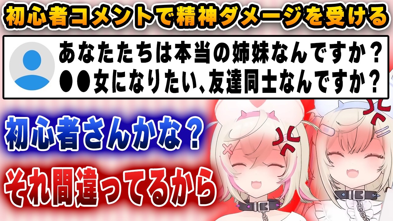 初心者からのコメントを固定し、怒りを抑えながら教育するフワモコ【切り抜き/ホロライブ/フワワ/モココ/フワモコ】