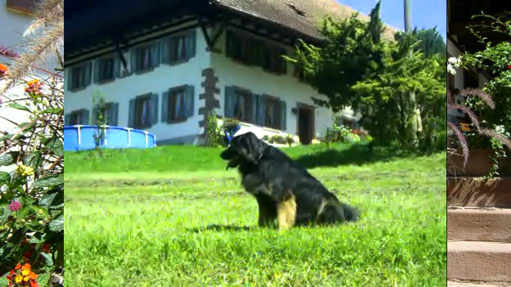 Grundbauernhof Schuttertal