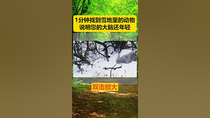 1分钟内，你找到雪地里的动物在哪里了吗？ #脑力测试 #趣味  #眼力测试