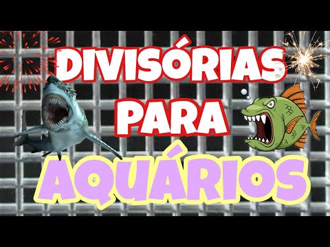 Vídeo: Como Se Separar De Um Aquário