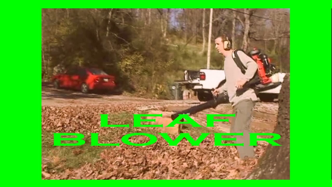 Leaf Raking Business Lawn Care Business Leaf Blowers, Rakes, and Money