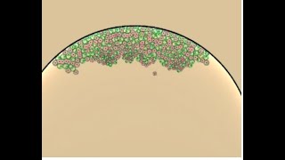 Cell lab - level 21 floaters without nutrient priority : Cell lab English español