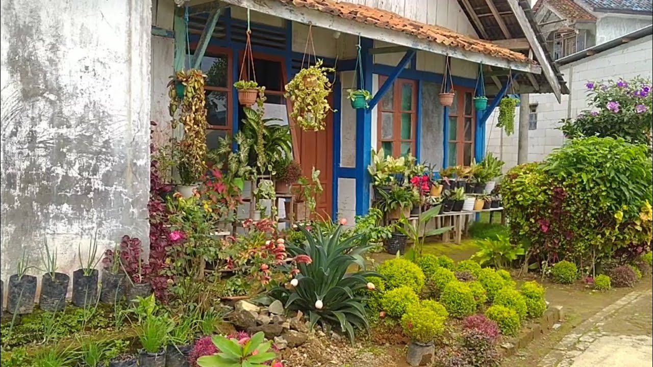 TAMAN CANTIK DITERAS DESA|TANAMAN HIAS DIDEPAN RUMAH - YouTube