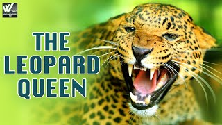 The Leopard Queen - Wild Africa | हिन्दी डॉक्यूमेंट्री | Wildlife Documentary in Hindi, Episode - 2