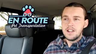 How much does pet ground transportation cost?