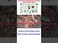 What about growing beetroot in garden pots in tropical region?