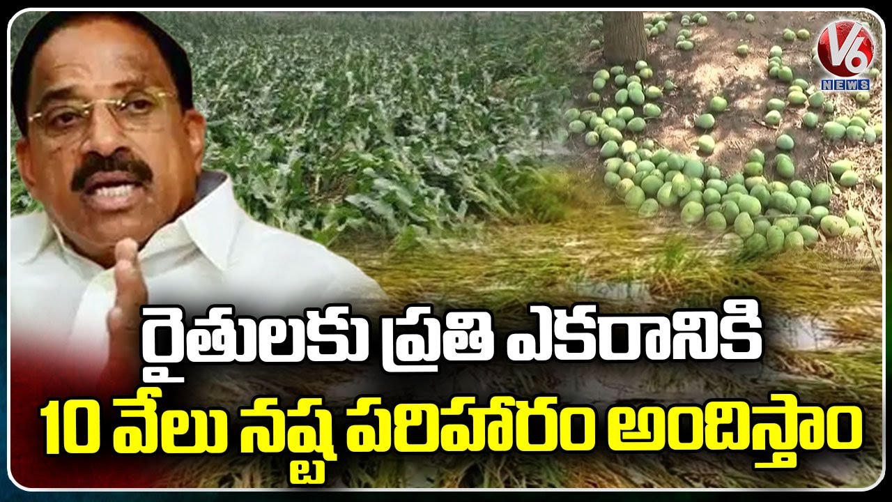Weather Updates : Heavy Crop Damage All Over State Due To Sudden Rains ...