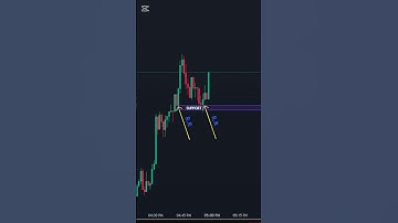 The Best Forex Trading Tips for Beginners