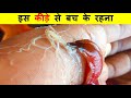 अजीब-अजीब हरकत करने वाले जानवर । Weirdest Things Animals Do