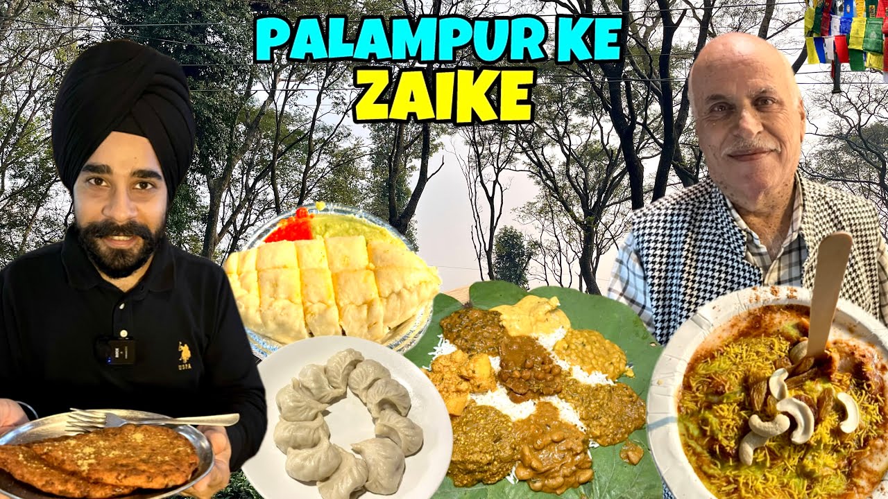 PALAMPUR Famous STREET FOOD | Himachali Dham, Siddu & Tea Garden Tour | Himachal Local Food