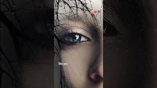 Tasveer Teri Nainan Mein  4k  Screen Status viral shorts whatsappstatus letsshorts