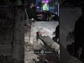 For sure my blood... | #BF6 #Clutch #RedSec #Teamwork #OnlyInBattlefield
