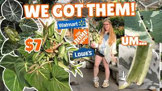 😱NEW $7 RARE big box store plant finds @ Home Depot & Lowe's 🛍️
