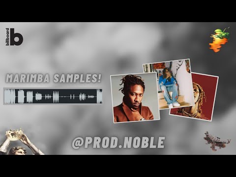 How To Make CRAZY Samples Like Pilgrim & Psilo For Lil Keed & Rot Ken | FL Studio Tutorial 2021