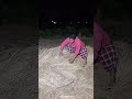 there was movement in the haystack #shortvideo #nature #trending #shorts #fyp