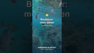 Schnorcheln am Roten Meer in Hurghada | Hurghada Reisetipps 🇪🇬 #Shorts