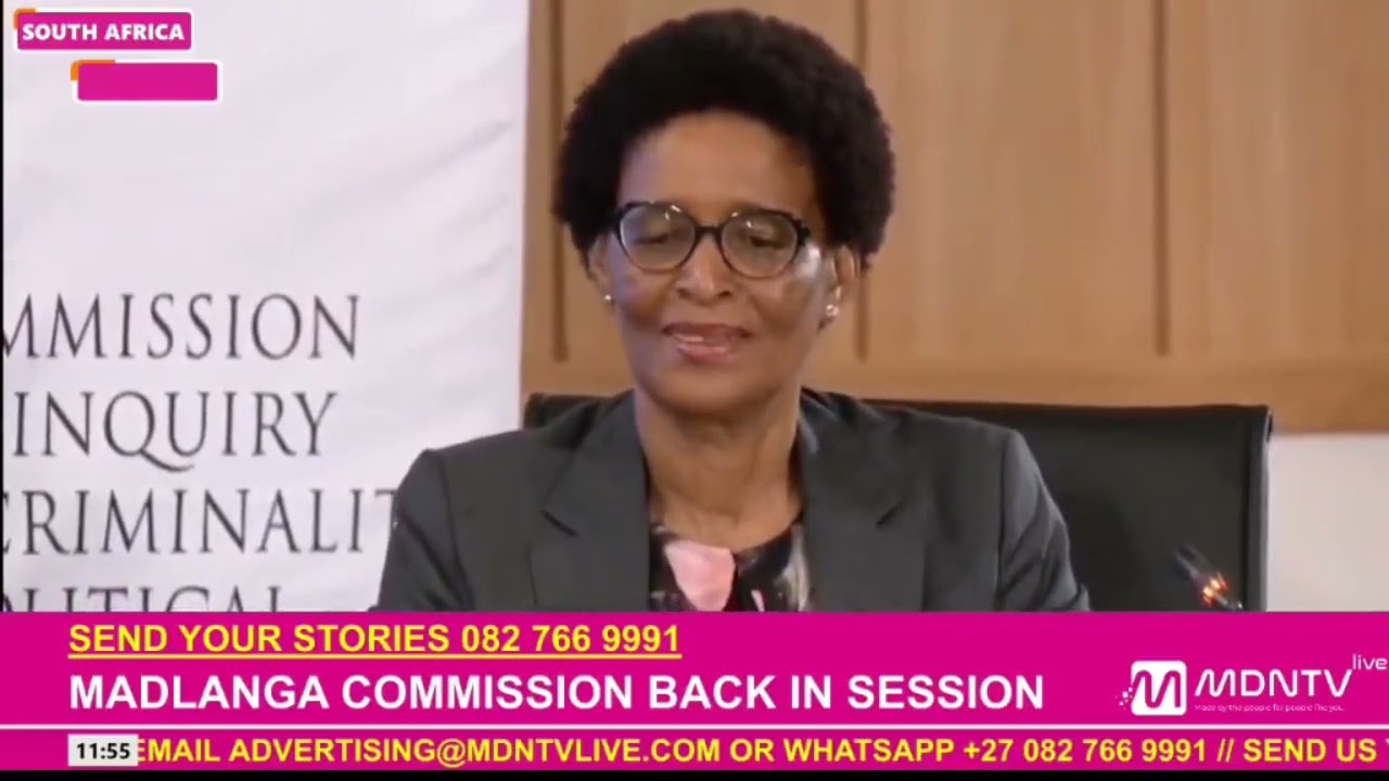 Who is Witness E? Protected Witness Reveals Chilling Evidence at Inquiry😱😱@ Mzanzi News24